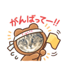 ゆずくるみるっさん（個別スタンプ：26）