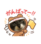ゆずくるみるっさん（個別スタンプ：27）