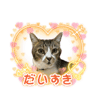 ゆずくるみるっさん（個別スタンプ：31）
