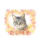 ゆずくるみるっさん（個別スタンプ：32）