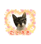 ゆずくるみるっさん（個別スタンプ：33）