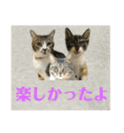 ゆずくるみるっさん（個別スタンプ：34）