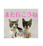 ゆずくるみるっさん（個別スタンプ：35）