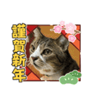 ゆずくるみるっさん（個別スタンプ：38）