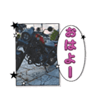 バイクであいさつ2（個別スタンプ：8）