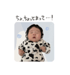 こっさん【日常】（個別スタンプ：16）