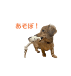 齋藤ティア（個別スタンプ：2）