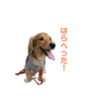 齋藤ティア（個別スタンプ：6）