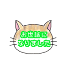 ネコもよう(敬語・丁寧)（個別スタンプ：17）