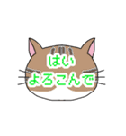 ネコもよう(敬語・丁寧)（個別スタンプ：23）