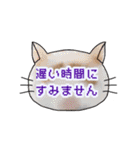 ネコもよう(敬語・丁寧)（個別スタンプ：34）