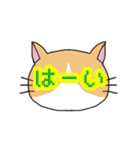 ねこもよう(普段使い)（個別スタンプ：1）