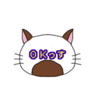 ねこもよう(普段使い)（個別スタンプ：3）