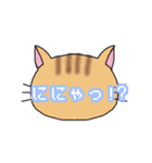 ねこもよう(普段使い)（個別スタンプ：6）