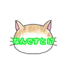 ねこもよう(普段使い)（個別スタンプ：8）