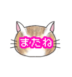 ねこもよう(普段使い)（個別スタンプ：14）