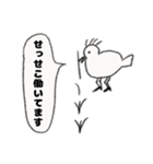 植毛バードのピスター（個別スタンプ：8）