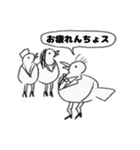 植毛バードのピスター（個別スタンプ：9）