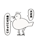 植毛バードのピスター（個別スタンプ：12）