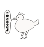 植毛バードのピスター（個別スタンプ：17）