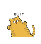 冒険猫こたろうver①（個別スタンプ：4）