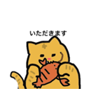 冒険猫こたろうver①（個別スタンプ：6）