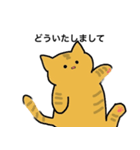 冒険猫こたろうver①（個別スタンプ：8）