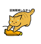 冒険猫こたろうver①（個別スタンプ：9）