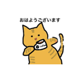 冒険猫こたろうver①（個別スタンプ：12）