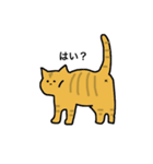 冒険猫こたろうver①（個別スタンプ：16）