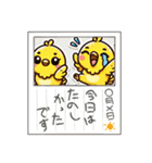 ひよこの「ぴーちゃん」（個別スタンプ：7）