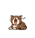 文字のない猫だらけ（個別スタンプ：17）