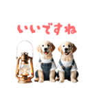 日常スタンプ ゴールデンレトリバー子犬達（個別スタンプ：8）