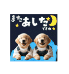 日常スタンプ ゴールデンレトリバー子犬達（個別スタンプ：35）