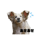かいとの日常。（個別スタンプ：3）
