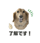 かいとの日常。（個別スタンプ：12）
