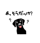 黒ラブのお返事（個別スタンプ：1）