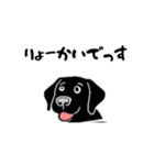 黒ラブのお返事（個別スタンプ：3）