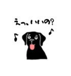 黒ラブのお返事（個別スタンプ：5）
