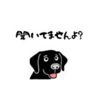 黒ラブのお返事（個別スタンプ：7）