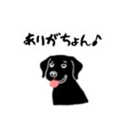 黒ラブのお返事（個別スタンプ：8）