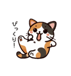 三毛猫スタンプ(第2弾)（個別スタンプ：2）