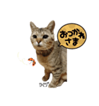 もこにゃー（個別スタンプ：2）