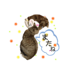 もこにゃー（個別スタンプ：4）