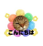 もこにゃー（個別スタンプ：7）