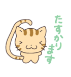 シマリスみたいな、しま猫。（個別スタンプ：20）