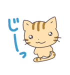 シマリスみたいな、しま猫。（個別スタンプ：34）