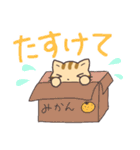 シマリスみたいな、しま猫。（個別スタンプ：37）