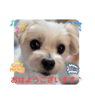 めりる20240907（個別スタンプ：1）