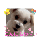 めりる20240907（個別スタンプ：2）